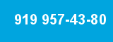 919 957-43-80
